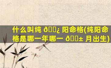 什么叫纯 🌿 阳命格(纯阳命格是哪一年哪一 🐱 月出生)